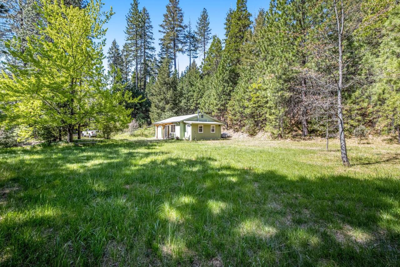 Yosemite Mountain Cottage Groveland Exterior photo